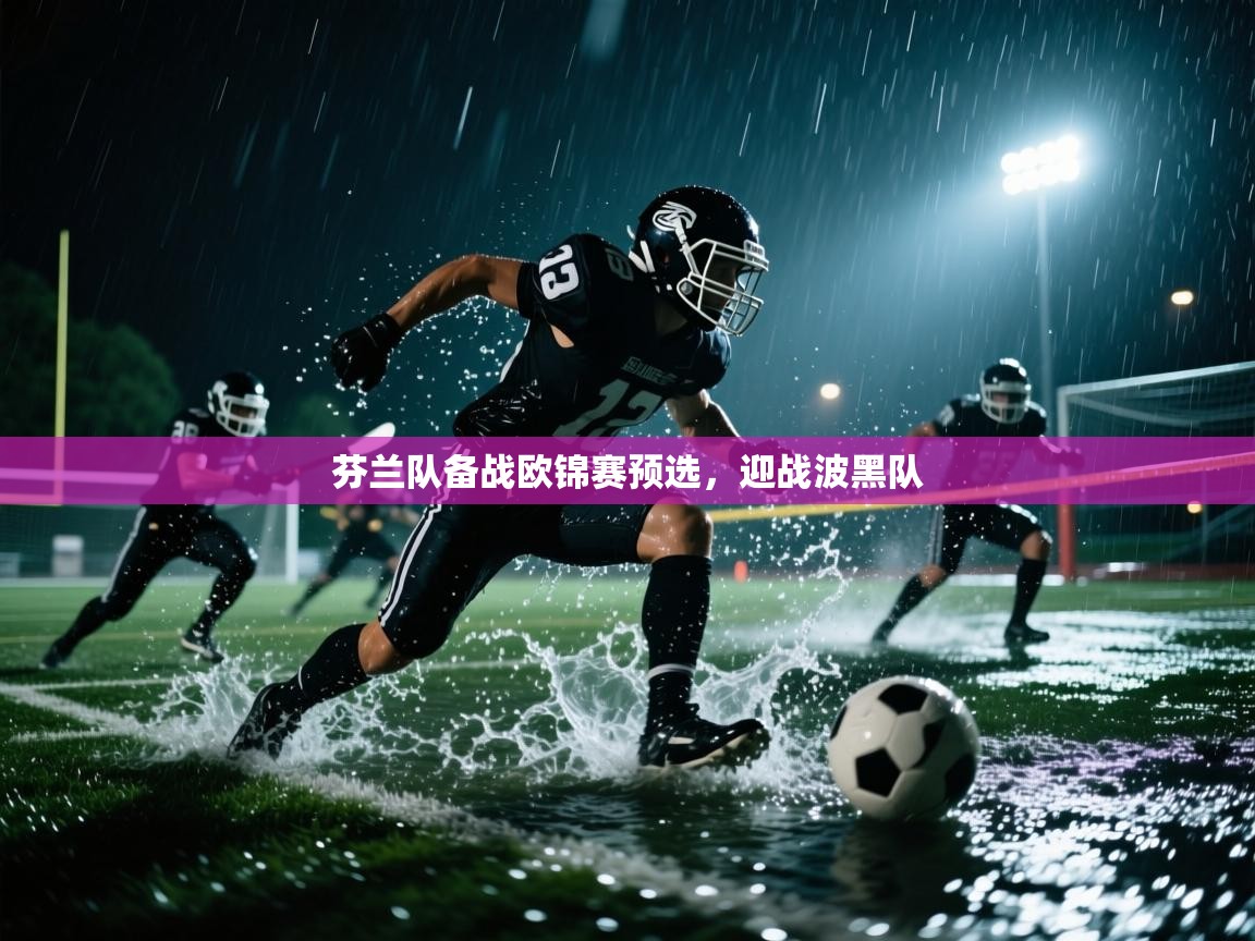 芬兰队备战欧锦赛预选，迎战波黑队  第1张