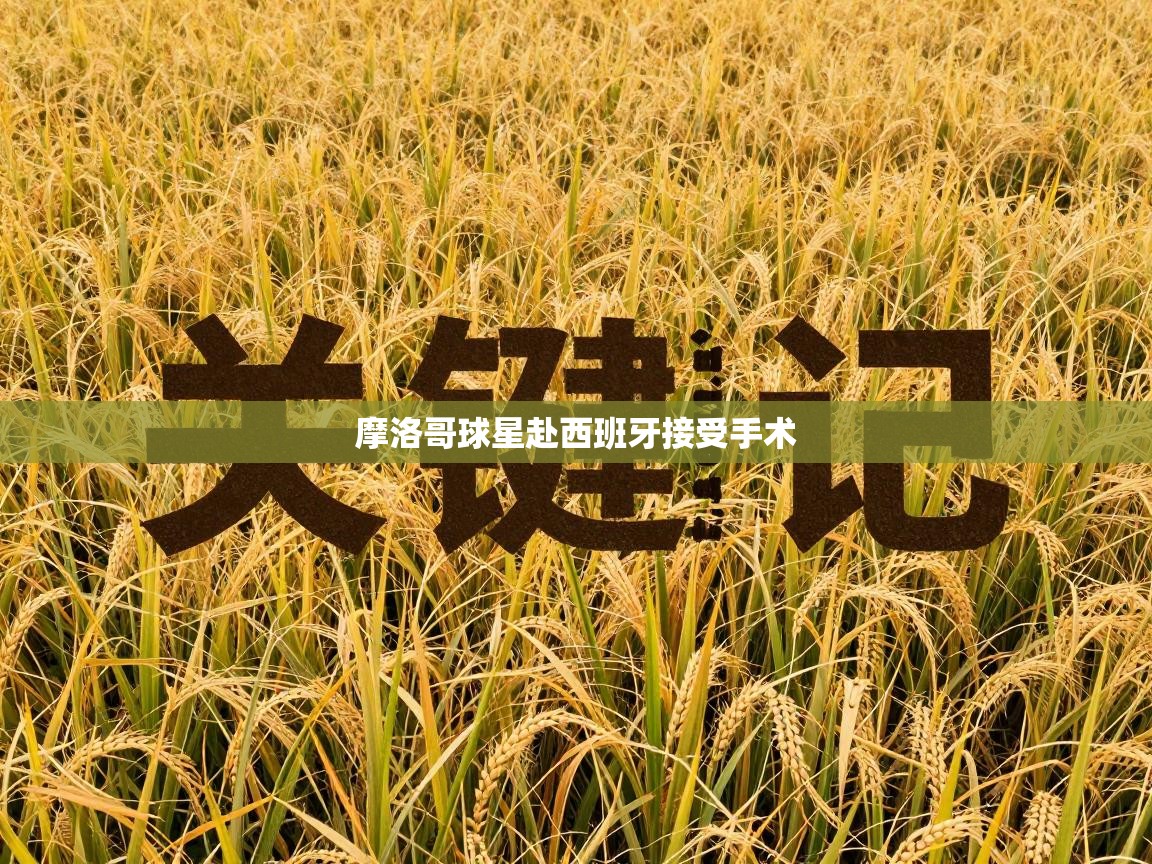 摩洛哥球星赴西班牙接受手术  第2张