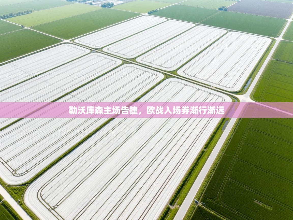 勒沃库森主场告捷，欧战入场券渐行渐远